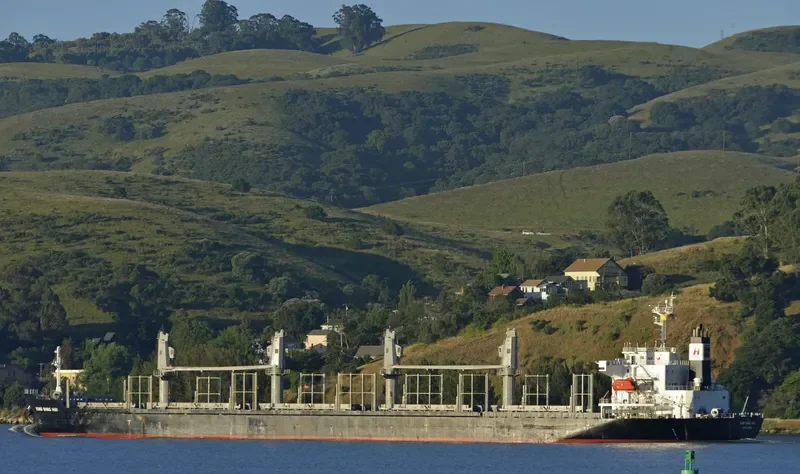 XING NING HAI Bulk Carrier IMO 9728332 photo 3