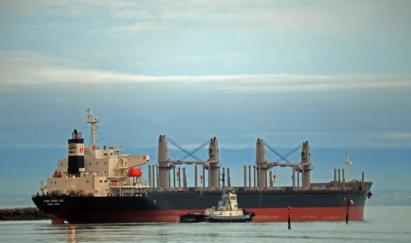 XING NING HAI Bulk Carrier IMO 9728332 photo 6