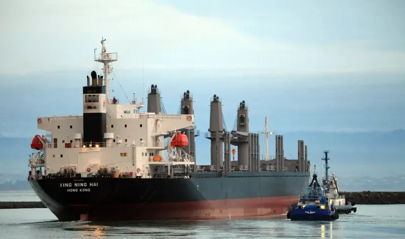 XING NING HAI Bulk Carrier IMO 9728332 photo 7