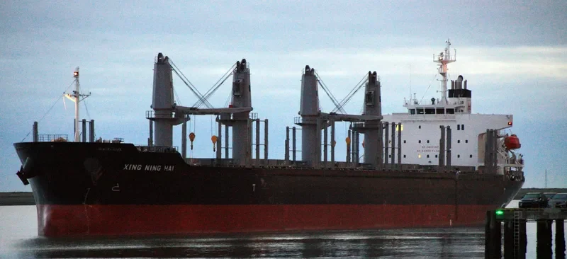 XING NING HAI Bulk Carrier IMO 9728332 photo 10
