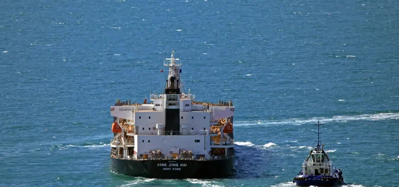 XING JING HAI Bulk Carrier IMO 9728344