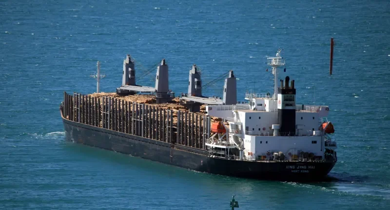 XING JING HAI Bulk Carrier IMO 9728344 photo 2