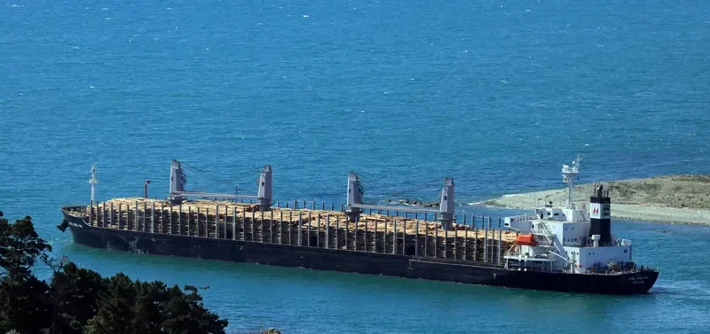 XING JING HAI Bulk Carrier IMO 9728344 photo 3