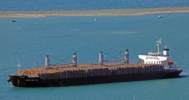XING JING HAI Bulk Carrier IMO 9728344 photo 5