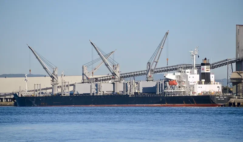 XING JING HAI Bulk Carrier IMO 9728344 photo 6