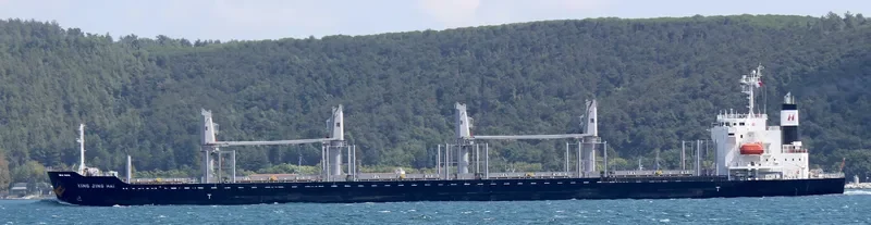 XING JING HAI Bulk Carrier IMO 9728344 photo 7