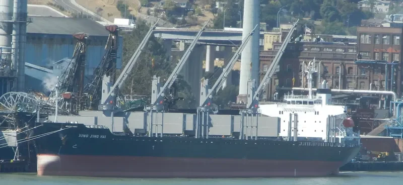 XING JING HAI Bulk Carrier IMO 9728344 photo 8