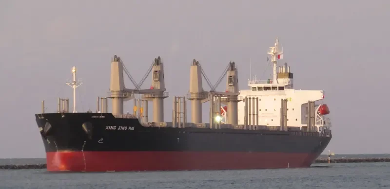 XING JING HAI Bulk Carrier IMO 9728344 photo 9