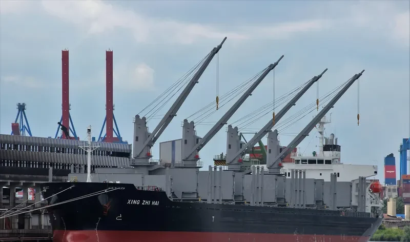 XING ZHI HAI Bulk Carrier IMO 9728356 photo 2