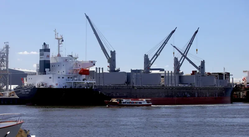XING ZHI HAI Bulk Carrier IMO 9728356 photo 3
