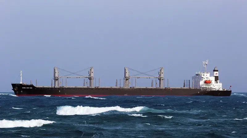XING ZHI HAI Bulk Carrier IMO 9728356 photo 5