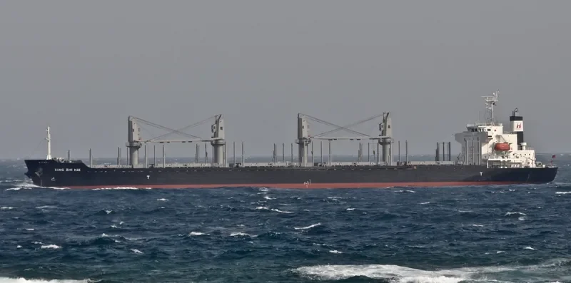 XING ZHI HAI Bulk Carrier IMO 9728356 photo 7