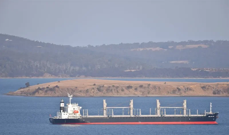 XING ZHI HAI Bulk Carrier IMO 9728356 photo 8