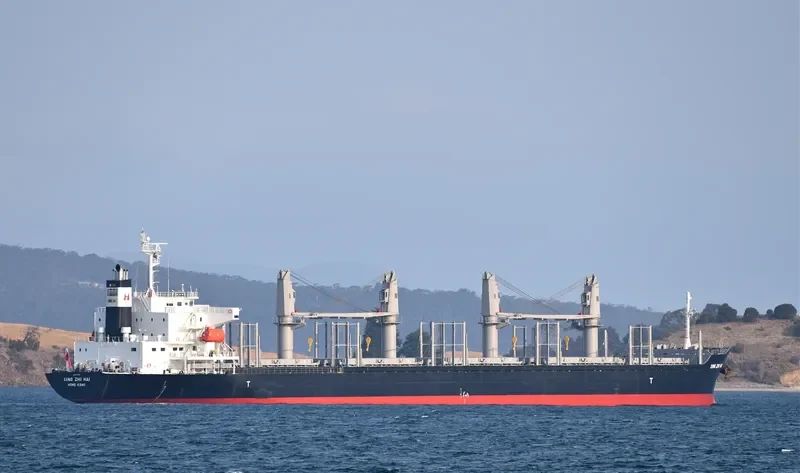 XING ZHI HAI Bulk Carrier IMO 9728356 photo 9
