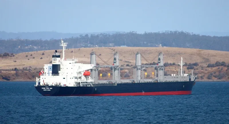 XING ZHI HAI Bulk Carrier IMO 9728356 photo 10