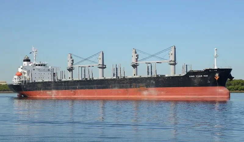 XING YUAN HAI Bulk Carrier IMO 9728368 photo 2