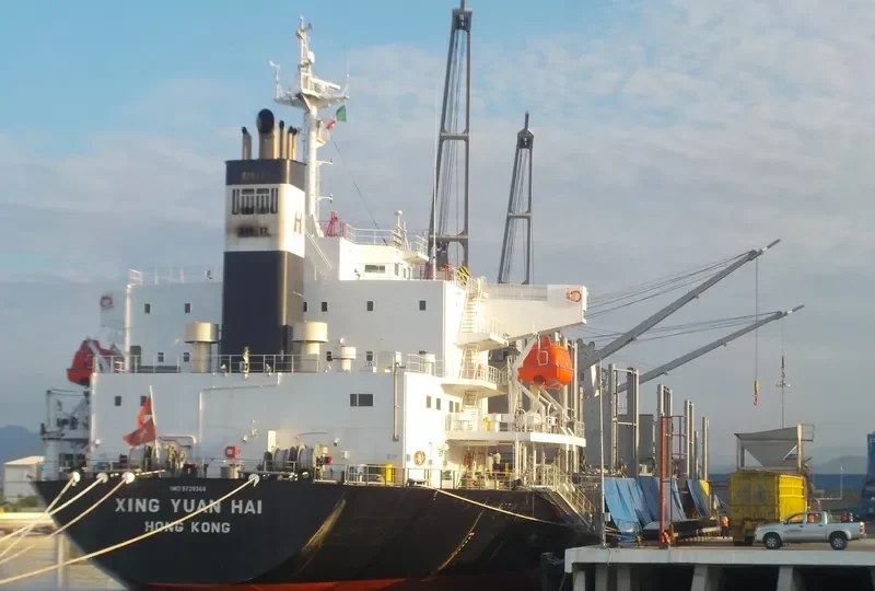 XING YUAN HAI Bulk Carrier IMO 9728368 photo 3