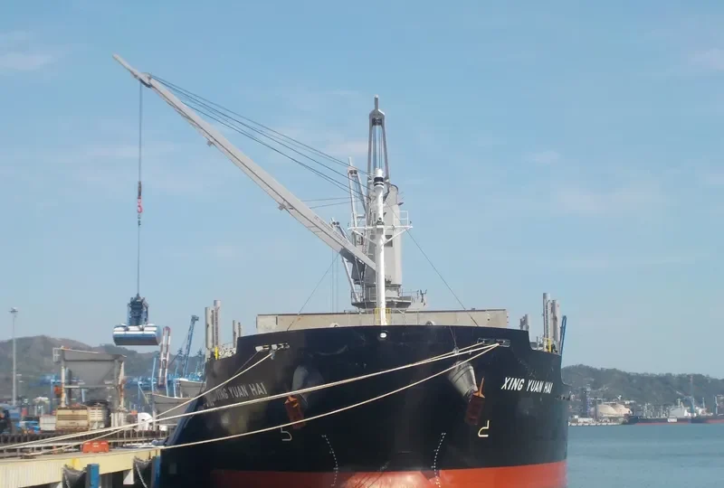 XING YUAN HAI Bulk Carrier IMO 9728368 photo 4