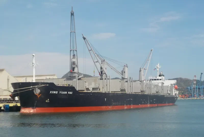 XING YUAN HAI Bulk Carrier IMO 9728368 photo 5