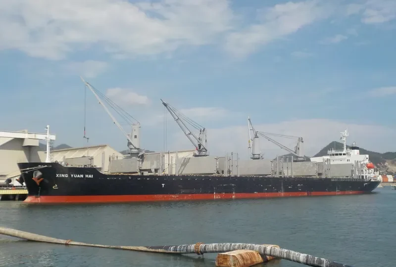 XING YUAN HAI Bulk Carrier IMO 9728368 photo 6