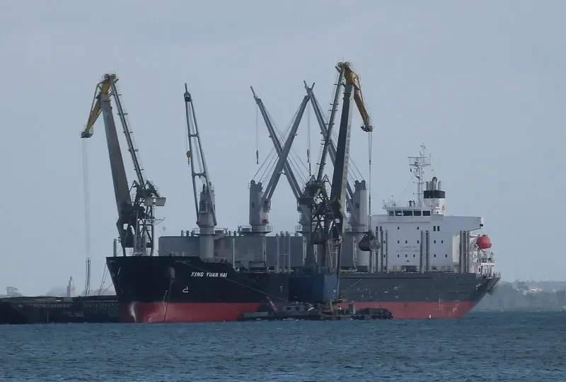 XING YUAN HAI Bulk Carrier IMO 9728368 photo 8