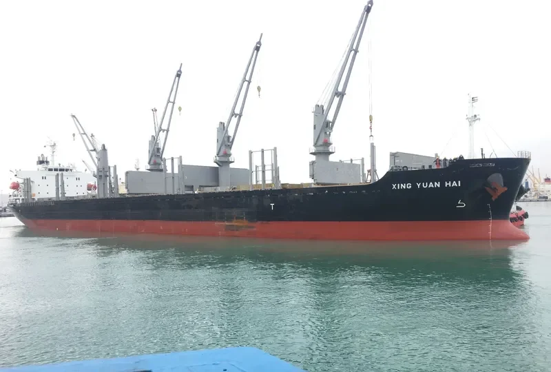 XING YUAN HAI Bulk Carrier IMO 9728368 photo 9