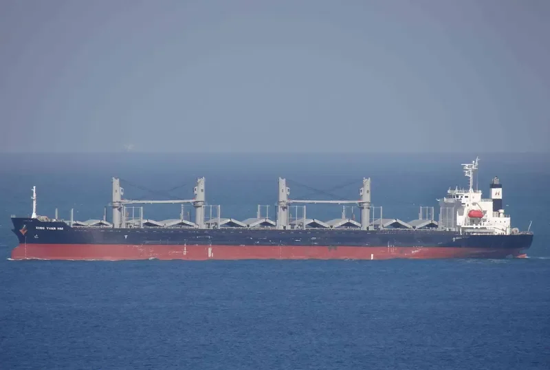 XING YUAN HAI Bulk Carrier IMO 9728368 photo 10
