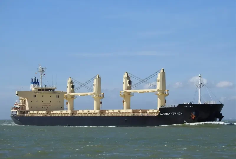DARYA KRISHNA Bulk Carrier IMO 9728370