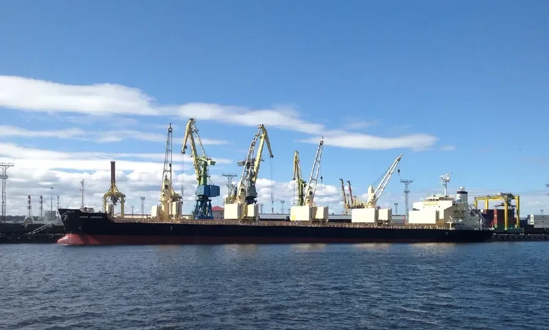 DARYA KRISHNA Bulk Carrier IMO 9728370 photo 2