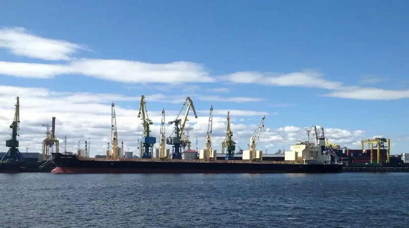 DARYA KRISHNA Bulk Carrier IMO 9728370 photo 3
