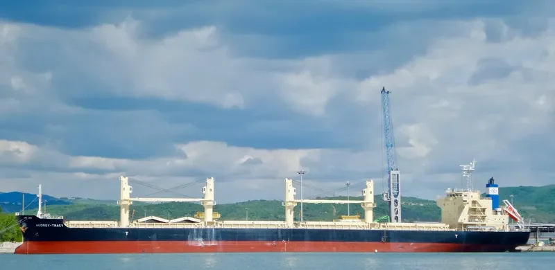 DARYA KRISHNA Bulk Carrier IMO 9728370 photo 4