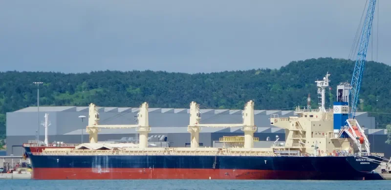 DARYA KRISHNA Bulk Carrier IMO 9728370 photo 5