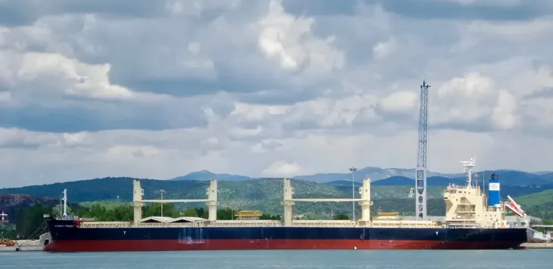 DARYA KRISHNA Bulk Carrier IMO 9728370 photo 6