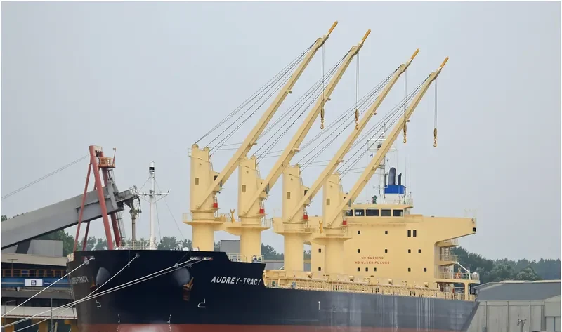 DARYA KRISHNA Bulk Carrier IMO 9728370 photo 9