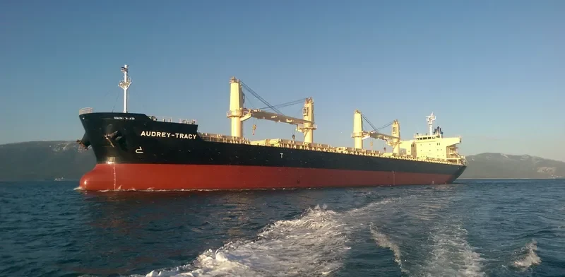 DARYA KRISHNA Bulk Carrier IMO 9728370 photo 10