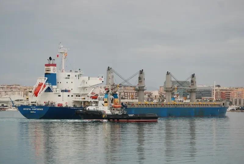 CRYSTAL CONFIDENCE Bulk Carrier IMO 9728382 photo 3