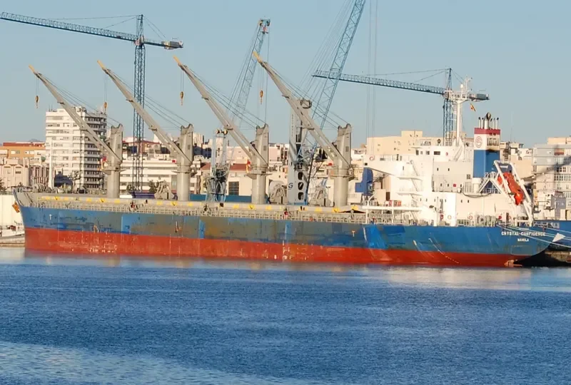 CRYSTAL CONFIDENCE Bulk Carrier IMO 9728382 photo 4
