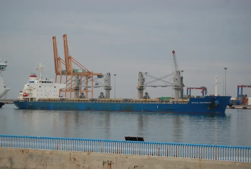 CRYSTAL CONFIDENCE Bulk Carrier IMO 9728382 photo 5