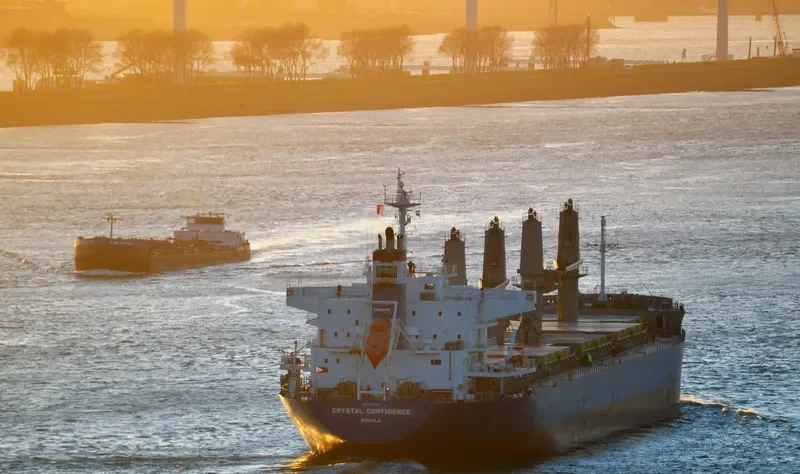 CRYSTAL CONFIDENCE Bulk Carrier IMO 9728382 photo 8