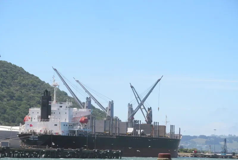 YOCHOW Bulk Carrier IMO 9728394 photo 7