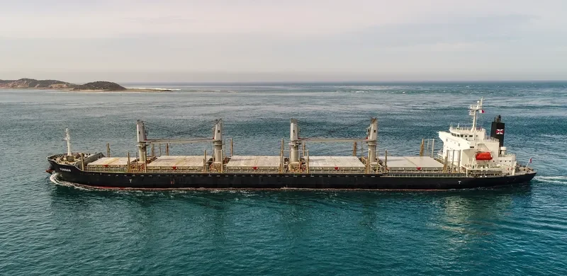 YUNNAN Bulk Carrier IMO 9728409 photo 3