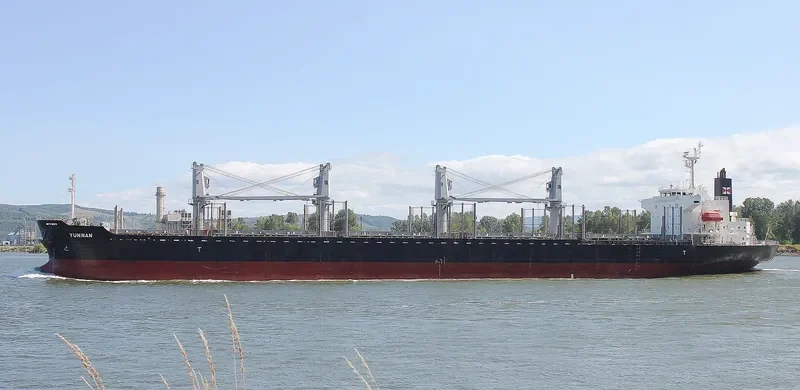 YUNNAN Bulk Carrier IMO 9728409 photo 4