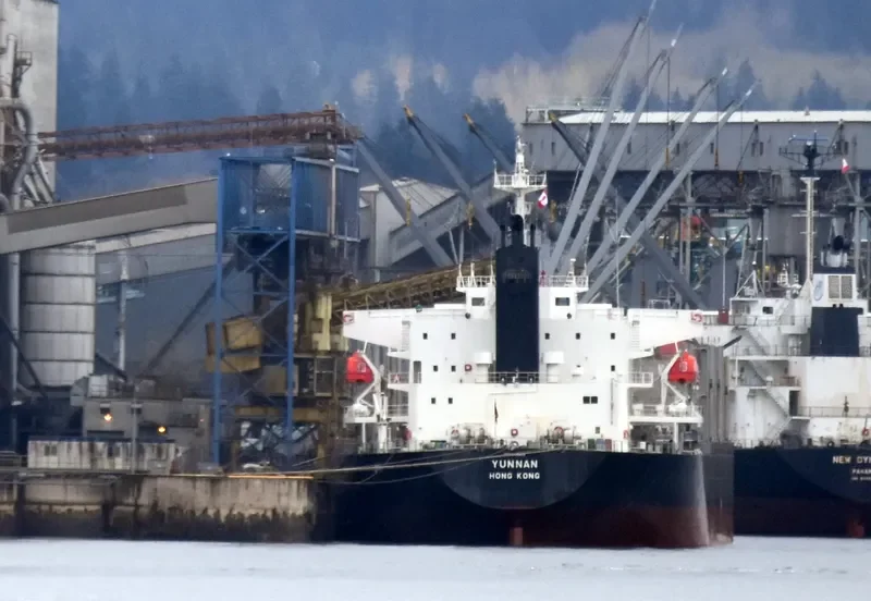YUNNAN Bulk Carrier IMO 9728409 photo 5