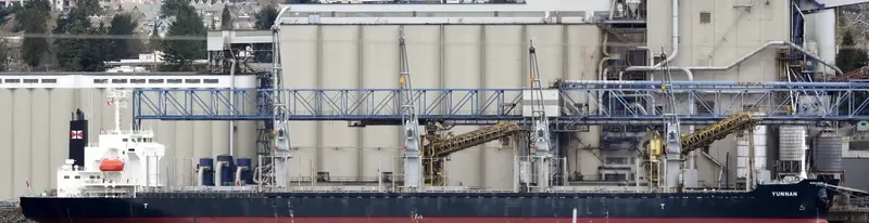 YUNNAN Bulk Carrier IMO 9728409 photo 6
