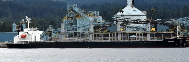 YUNNAN Bulk Carrier IMO 9728409 photo 9