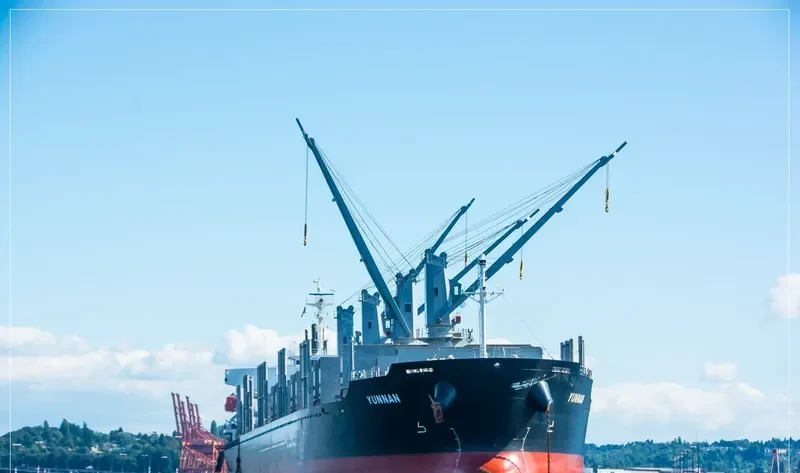 YUNNAN Bulk Carrier IMO 9728409 photo 10