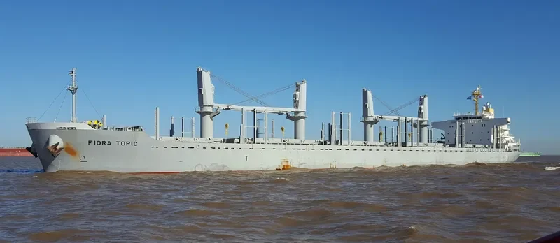 FIORA TOPIC Bulk Carrier IMO 9728461 photo 2