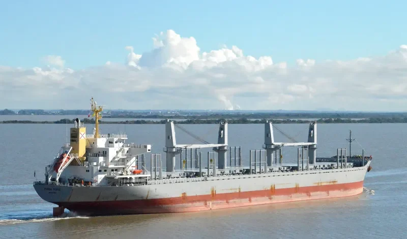 FIORA TOPIC Bulk Carrier IMO 9728461 photo 7