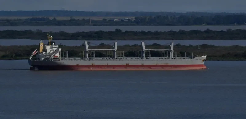FIORA TOPIC Bulk Carrier IMO 9728461 photo 8