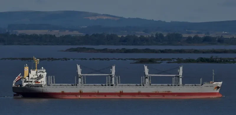 FIORA TOPIC Bulk Carrier IMO 9728461 photo 10